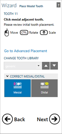 place model tooth