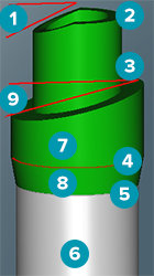 cylinder anatomy