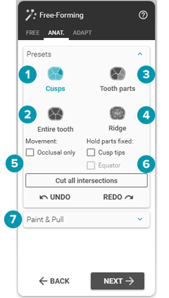 free-forming anatomic